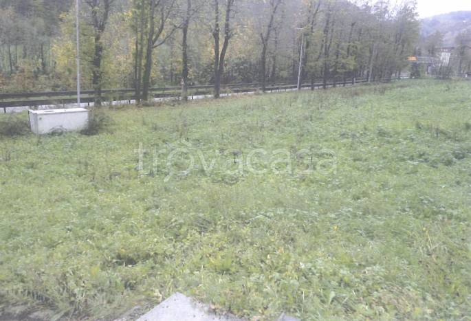 terreno agricolo in vendita a Limone Piemonte