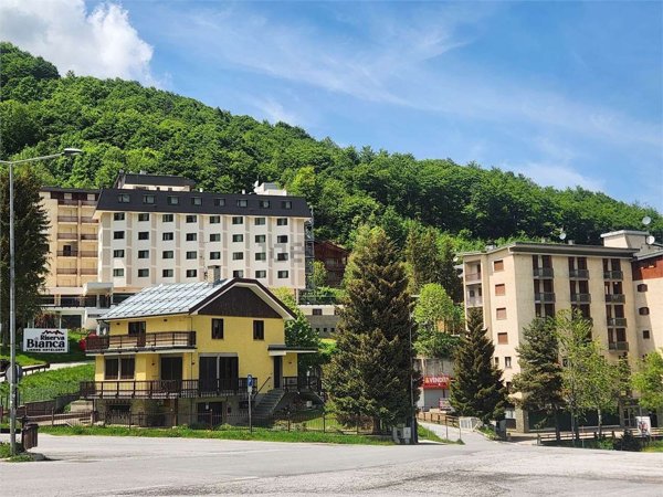 appartamento in vendita a Limone Piemonte