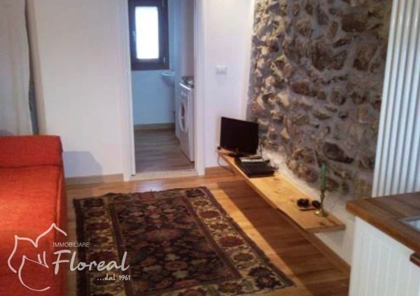 appartamento in vendita a Limone Piemonte in zona Panice