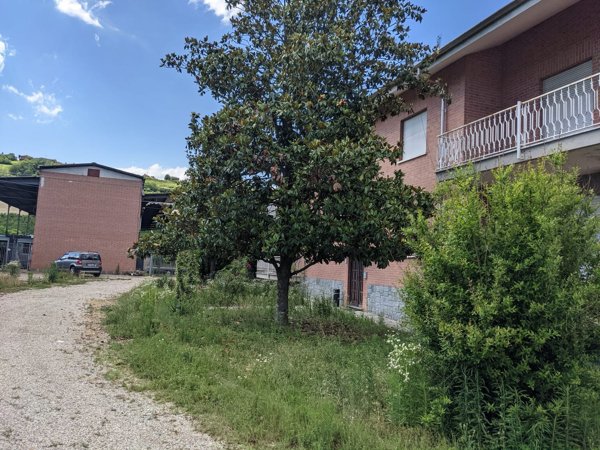 capannone in vendita a Magliano Alfieri