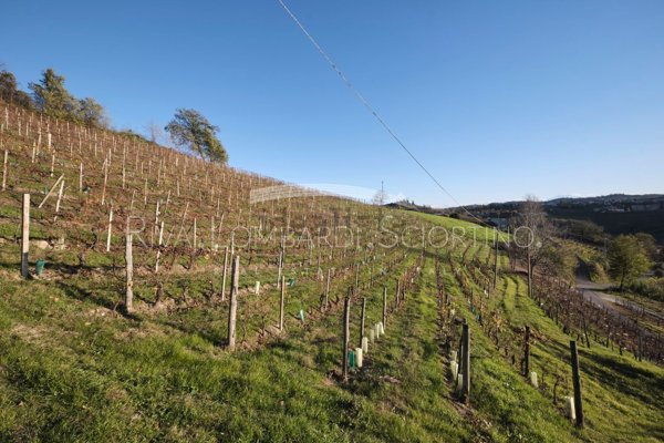 casale in vendita a Mango