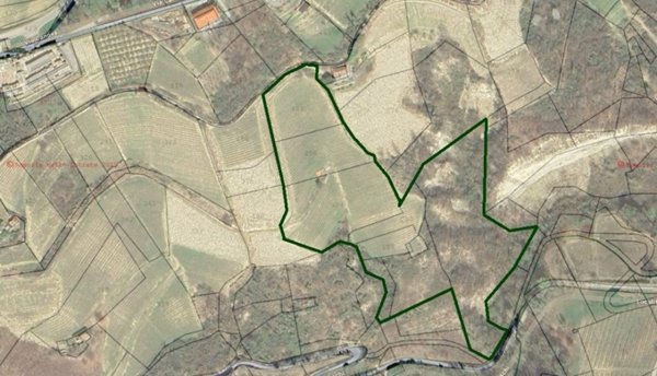 terreno agricolo in vendita a Mango