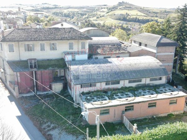 immagine annuncio 0 di 1