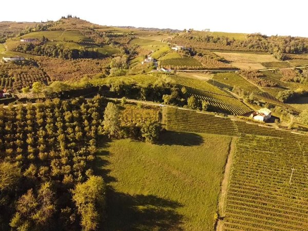 terreno edificabile in vendita a Mango