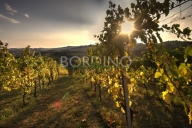 appartamento in vendita a Mango