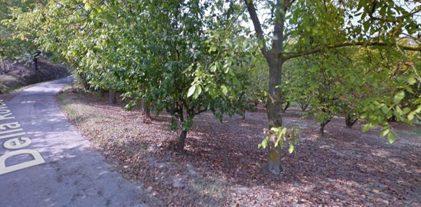 quadrivano in vendita a Mango