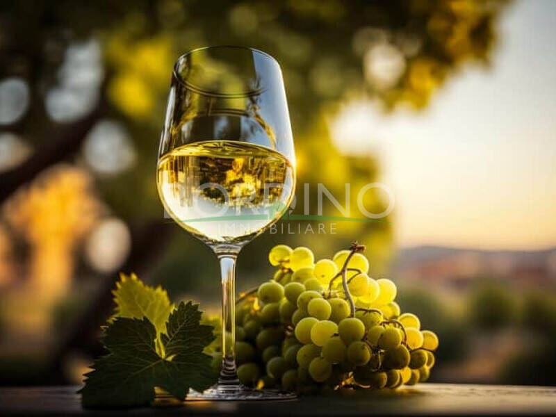 appartamento in vendita a Mango