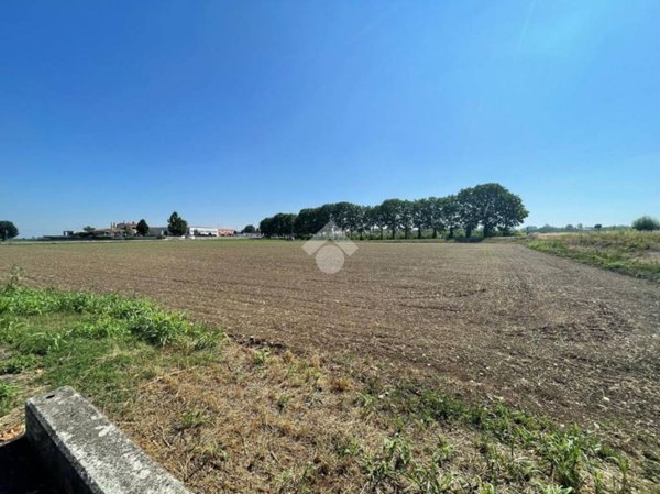 terreno agricolo in vendita a Marene