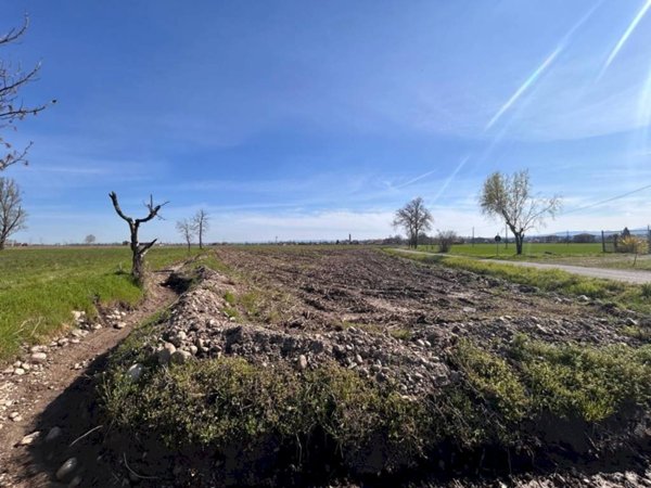 terreno agricolo in vendita a Margarita