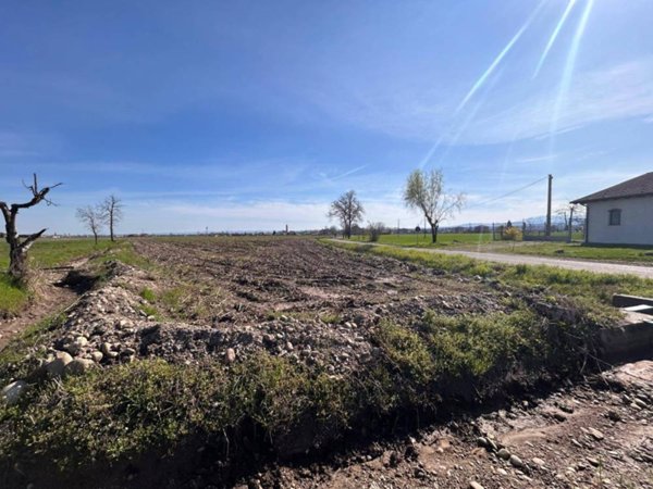 terreno agricolo in vendita a Margarita