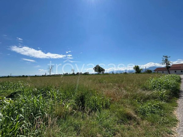 terreno agricolo in vendita a Margarita