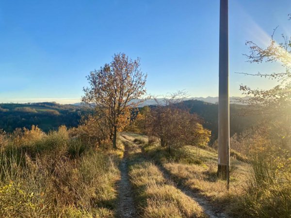 terreno agricolo in vendita a Marsaglia