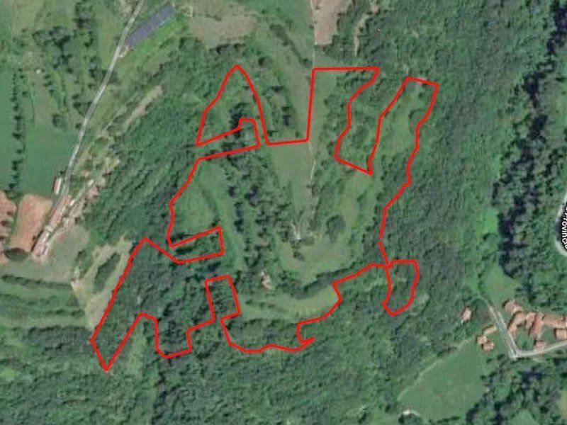 immagine annuncio 0 di 9