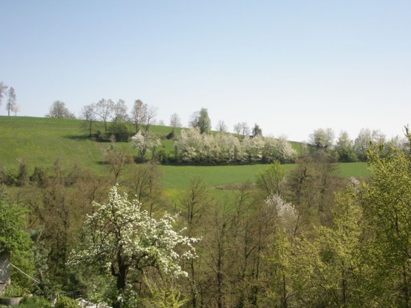 casale in vendita a Marsaglia