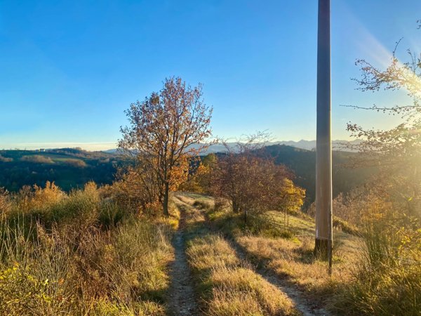terreno agricolo in vendita a Marsaglia