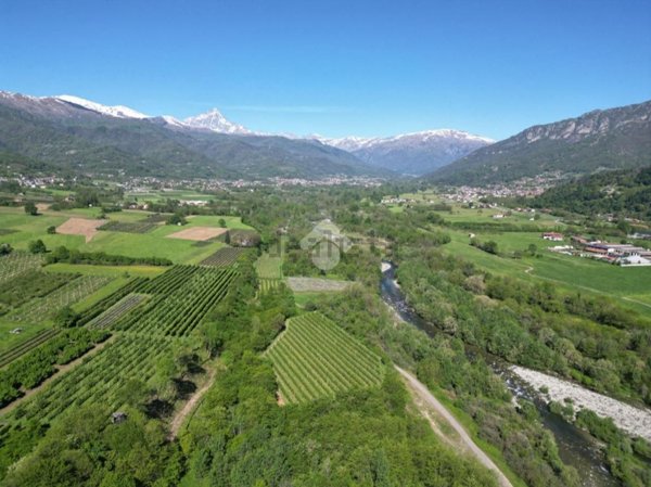 casa indipendente in vendita a Martiniana Po
