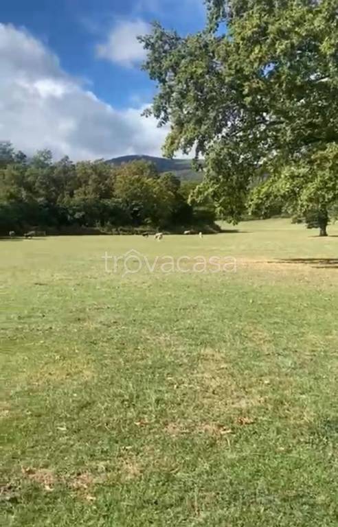terreno agricolo in vendita ad Alfedena