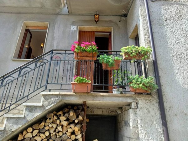 immagine annuncio 0 di 15