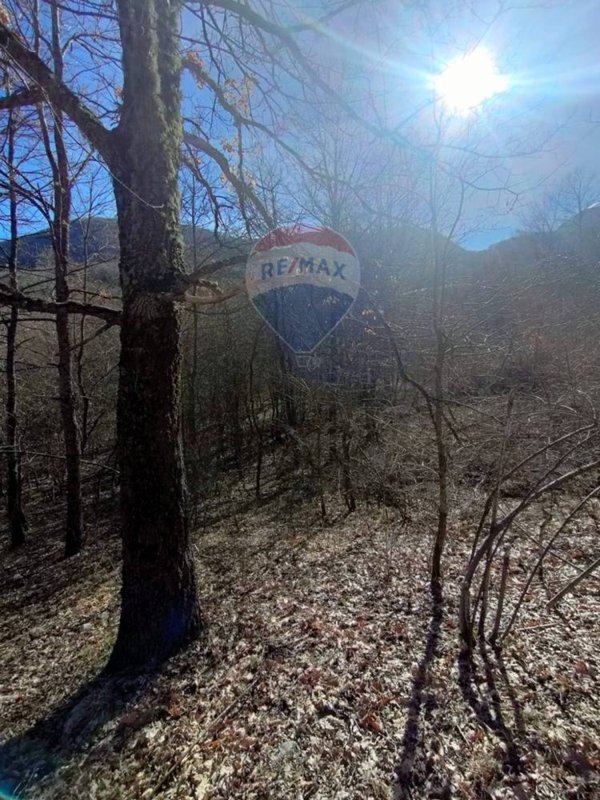 terreno agricolo in vendita ad Alfedena