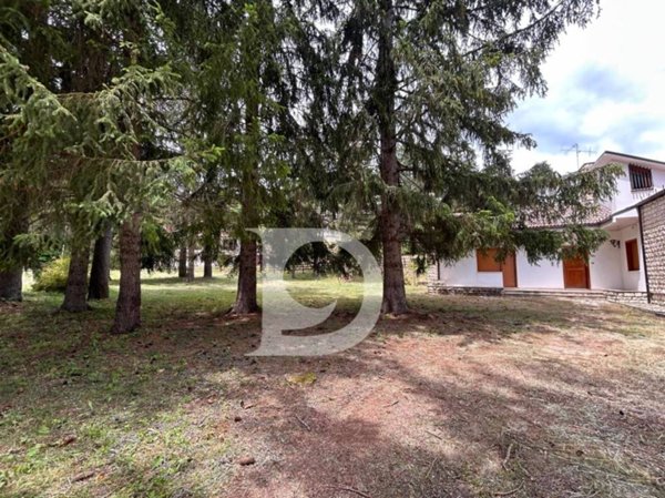 casa indipendente in vendita ad Alfedena