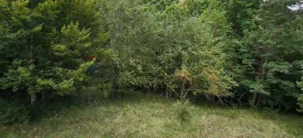 terreno agricolo in vendita ad Alfedena