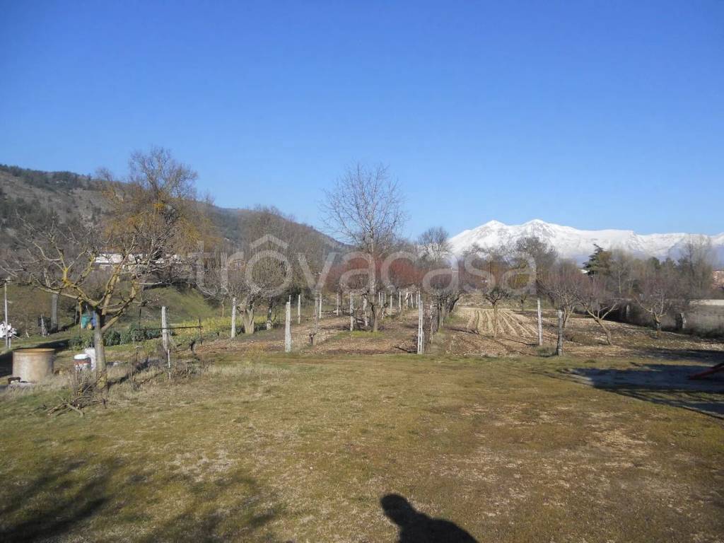 terreno agricolo in vendita ad Avezzano