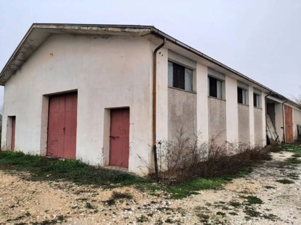 locale commerciale in vendita ad Avezzano in zona Via Nuova