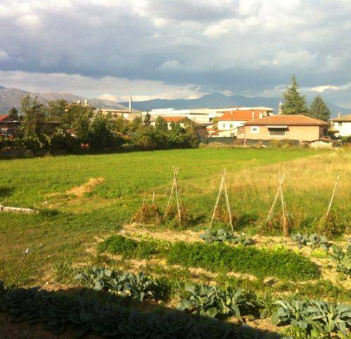terreno agricolo in vendita ad Avezzano in zona Incile