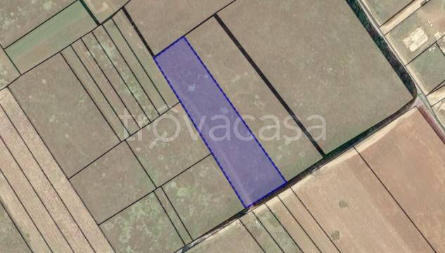 terreno agricolo in vendita ad Avezzano in zona Caruscino