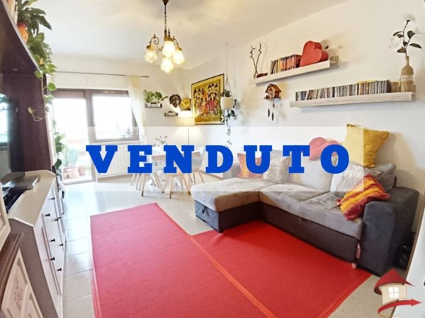 immagine annuncio 0 di 15