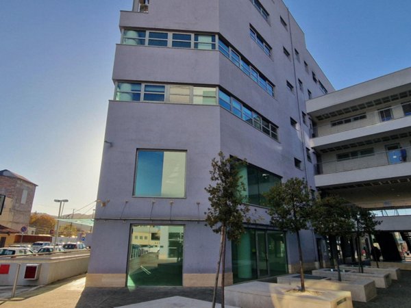 immagine annuncio 0 di 5