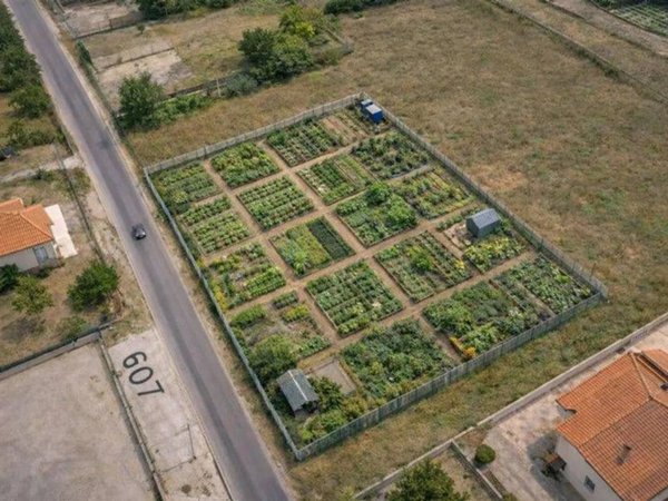 terreno agricolo in vendita ad Avezzano in zona Incile