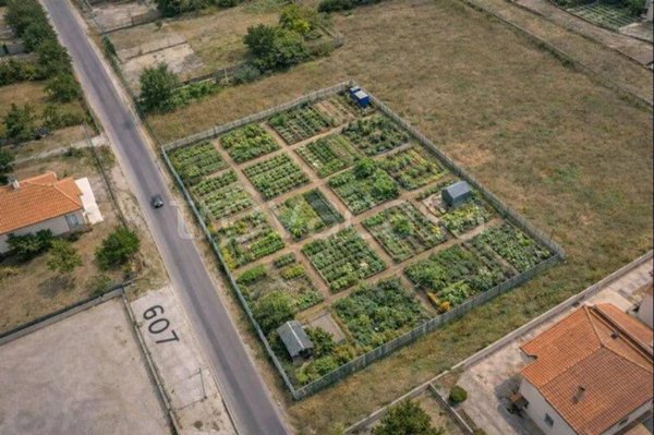 terreno agricolo in vendita ad Avezzano in zona Incile