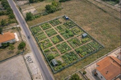 terreno agricolo in vendita ad Avezzano in zona Incile