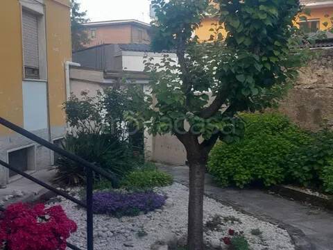 appartamento in vendita ad Avezzano