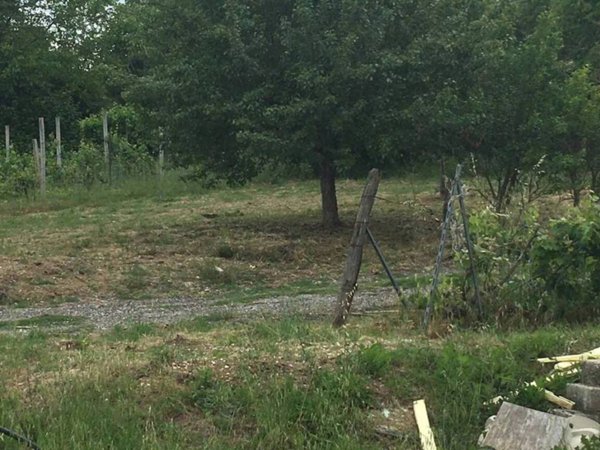 locale commerciale in vendita ad Avezzano in zona Paterno