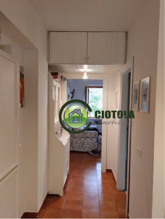 immagine annuncio 0 di 15