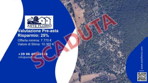 terreno agricolo in vendita a Capestrano