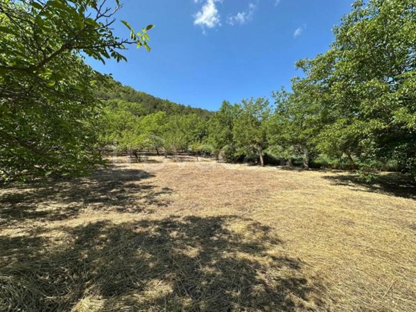 terreno agricolo in vendita a Caporciano