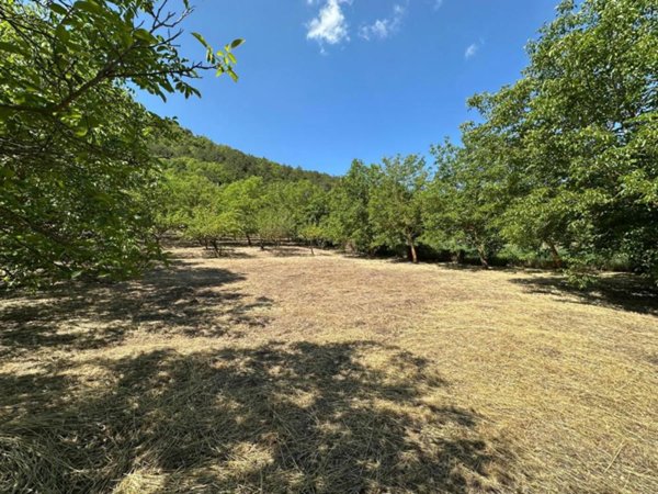 appartamento in vendita a Caporciano