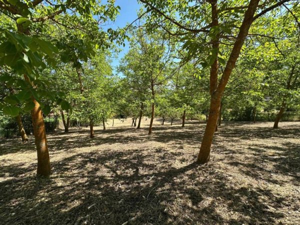 appartamento in vendita a Caporciano