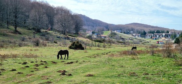 appartamento in vendita a Cappadocia