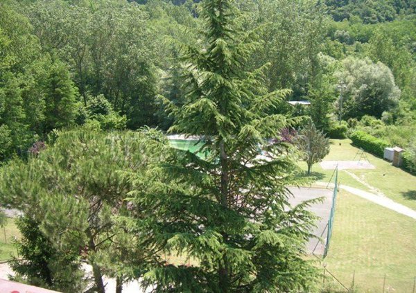 appartamento in vendita a Carsoli