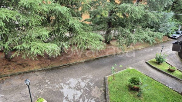 appartamento in vendita a Carsoli