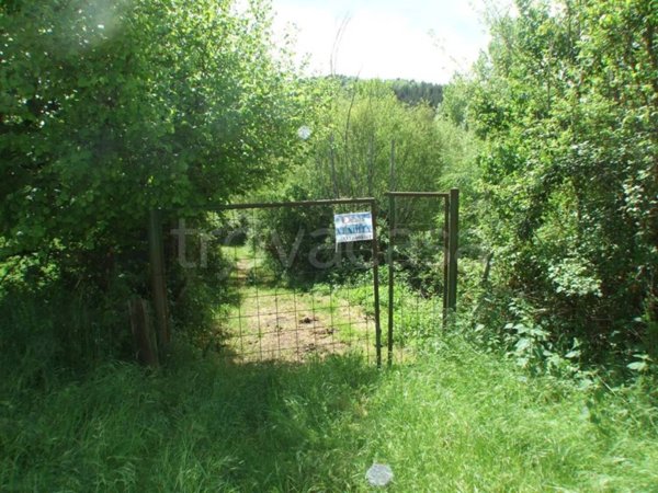 terreno in vendita a Carsoli
