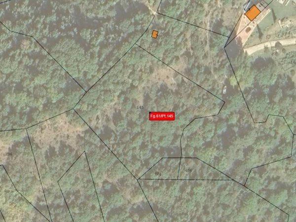 terreno agricolo in vendita a Carsoli