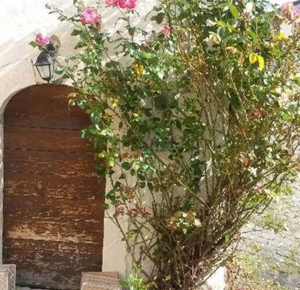 appartamento in vendita a Castel del Monte