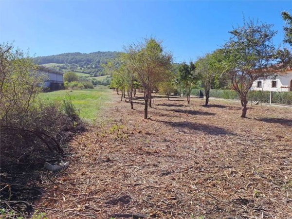terreno edificabile in vendita a Castel di Sangro