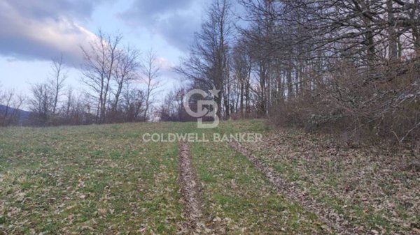 terreno agricolo in vendita a Castel di Sangro