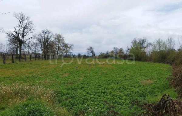 terreno agricolo in vendita a Celano